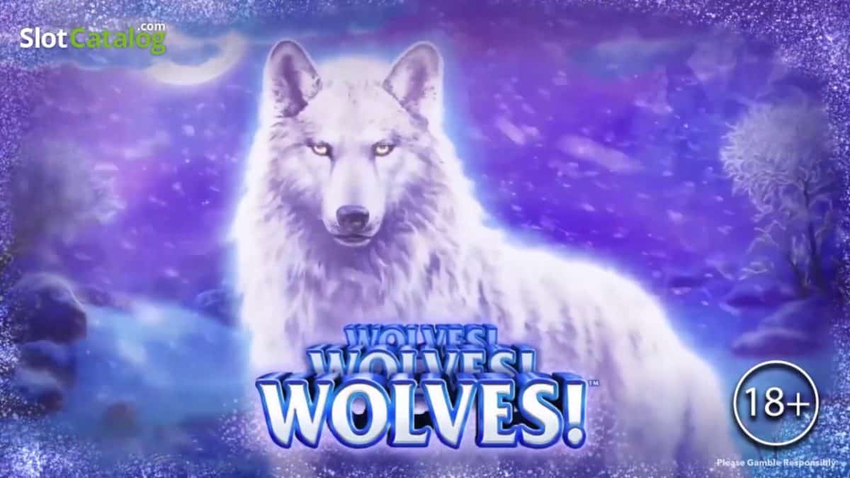 Strategi yang Terbukti Efektif JP Maxwin di Game Wolves! Wolves! Wolves! dari Playtech